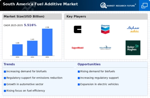 South America Fuel Additive Market Infographic