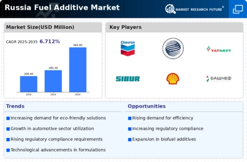 Russia Fuel Additive Market Infographic