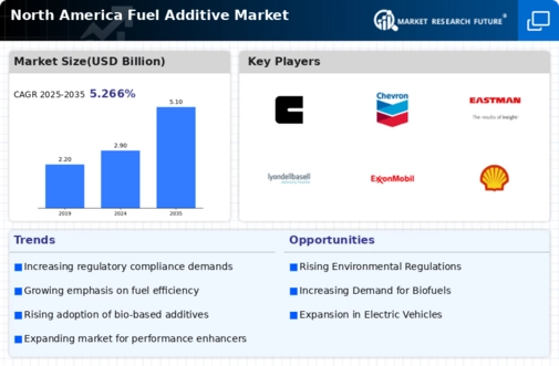 North America Fuel Additive Market Infographic