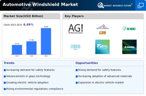 Automotive Windshield Market Infographic