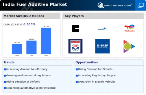 India Fuel Additive Market Infographic