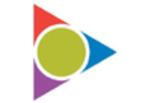 India Fuel Additive Market key player