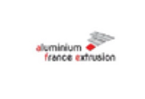 France Investment Casting Market key player