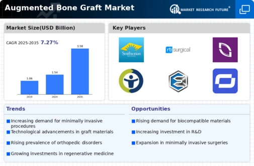 Augmented Bone Graft Market Infographic