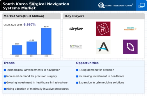 South Korea Surgical Navigation Systems Market Infographic