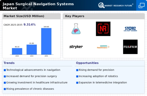 Japan Surgical Navigation Systems Market Infographic
