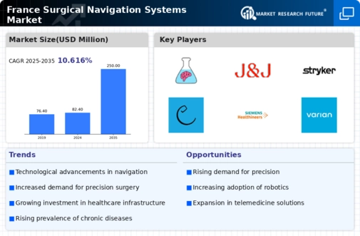 France Surgical Navigation Systems Market Infographic