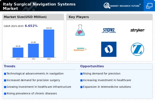 Italy Surgical Navigation Systems Market Infographic