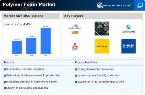 Polymer Foam Market Infographic