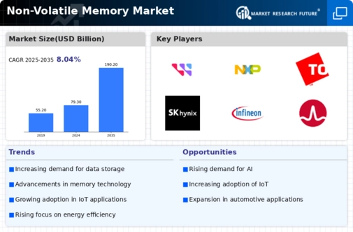 Non Volatile Memory Market Infographic