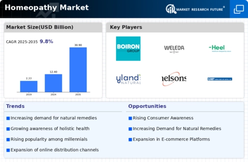 Homeopathy Market Infographic