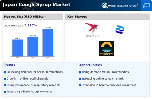 Japan Cough Syrup Market Infographic