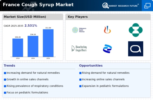 France Cough Syrup Market Infographic