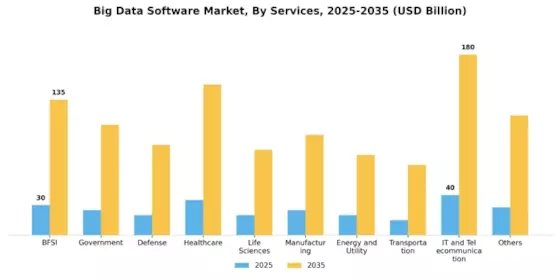 Big Data Software Market Segment Image 2