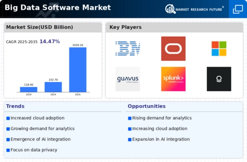 Big Data Software Market Infographic