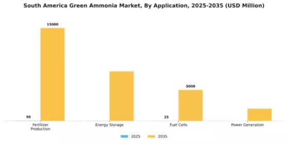 South America Green Ammonia Market Segment Image 0