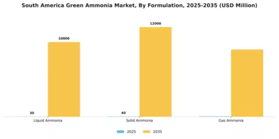 South America Green Ammonia Market Segment Image 3