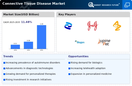 Connective Tissue Disease Market Infographic