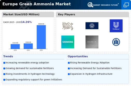 Europe Green Ammonia Market Infographic