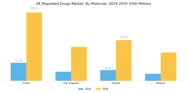 UK Pegylated Drugs Market Segment Image 0