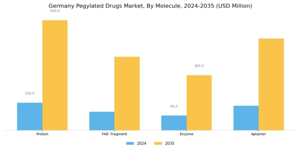 Germany Pegylated Drugs Market Segment Image 0