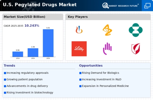 US Pegylated Drugs Market Infographic