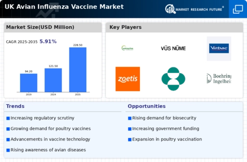 UK Avian Influenza Vaccine Market Infographic