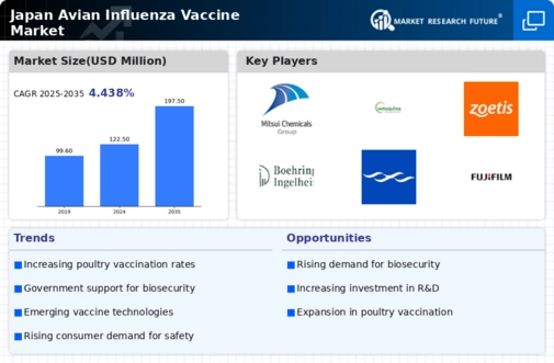 Japan Avian Influenza Vaccine Market Infographic