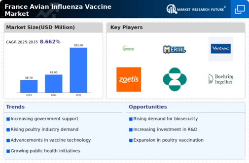 France Avian Influenza Vaccine Market Infographic