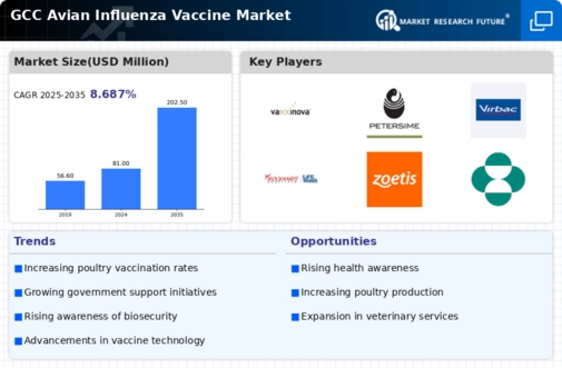 GCC Avian Influenza Vaccine Market Infographic