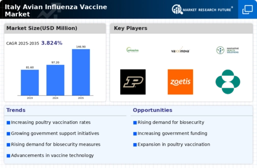 Italy Avian Influenza Vaccine Market Infographic