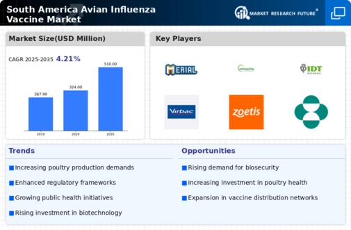 South America Avian Influenza Vaccine Market Infographic