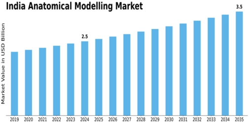India Anatomical Modelling Market Size