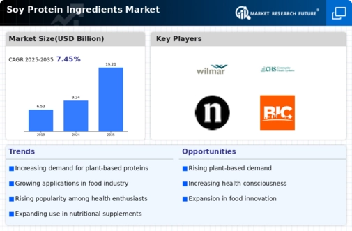 Soy Protein Ingredients Market Infographic