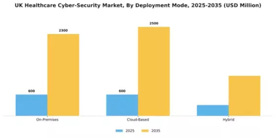 UK Healthcare Cyber Security Market Segment Image 0