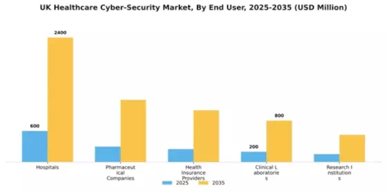 UK Healthcare Cyber Security Market Segment Image 1