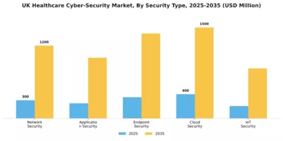 UK Healthcare Cyber Security Market Segment Image 2