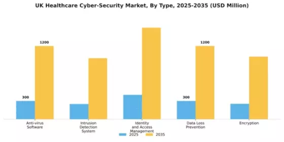 UK Healthcare Cyber Security Market Segment Image 3