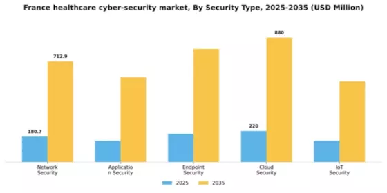 France Healthcare Cyber Security Market Segment Image 2