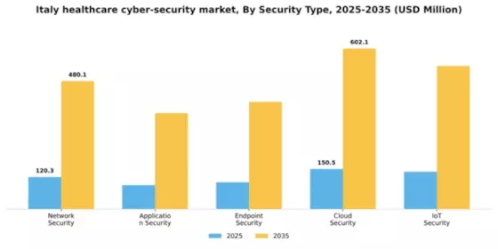Italy Healthcare Cyber Security Market Segment Image 2