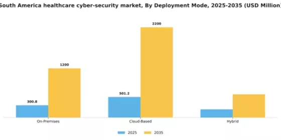 South America Healthcare Cyber Security Market Segment Image 0