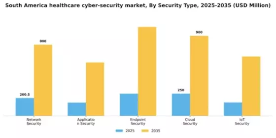 South America Healthcare Cyber Security Market Segment Image 2