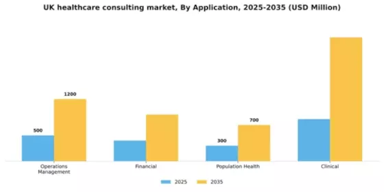UK Healthcare Consulting Services Market Segment Image 0