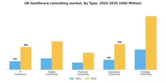 UK Healthcare Consulting Services Market Segment Image 2