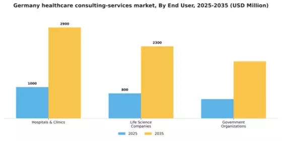 Germany Healthcare Consulting Services Market Segment Image 1