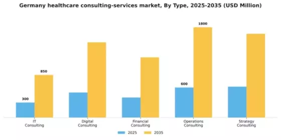 Germany Healthcare Consulting Services Market Segment Image 2