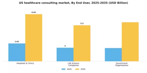 US Healthcare Consulting Services Market Segment Image 1