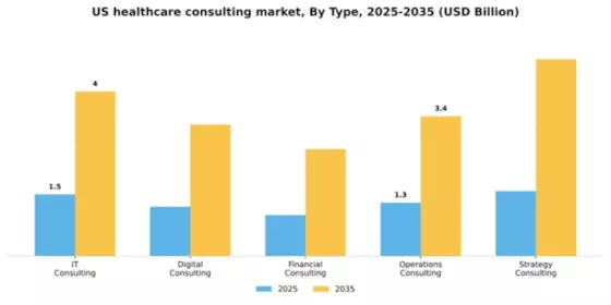 US Healthcare Consulting Services Market Segment Image 2