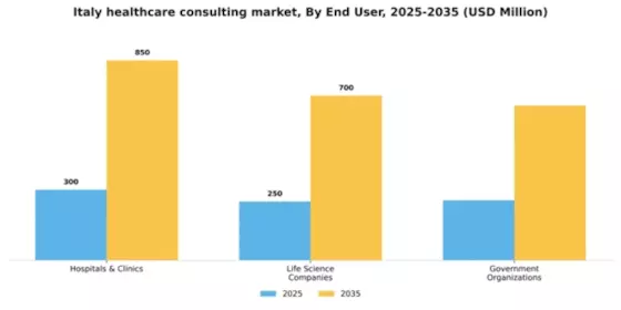 Italy Healthcare Consulting Services Market Segment Image 1