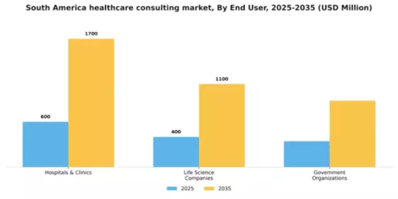 South America Healthcare Consulting Services Market Segment Image 1